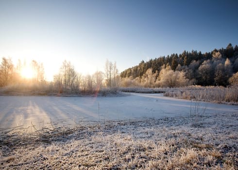 Winter Landscape