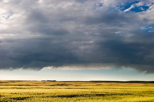 Prairie Sky Landscape