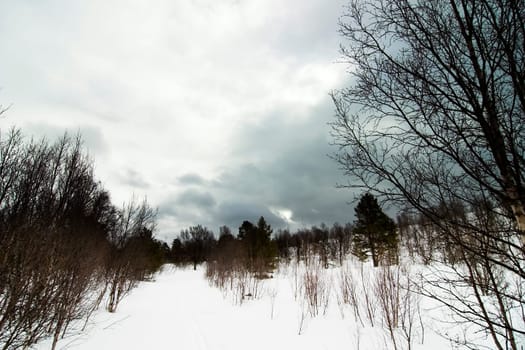 Winter Moody Landscape