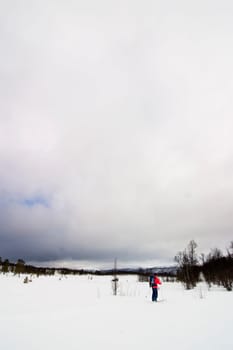 Skiing in Winter