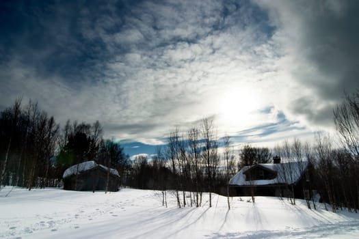 Winter Night