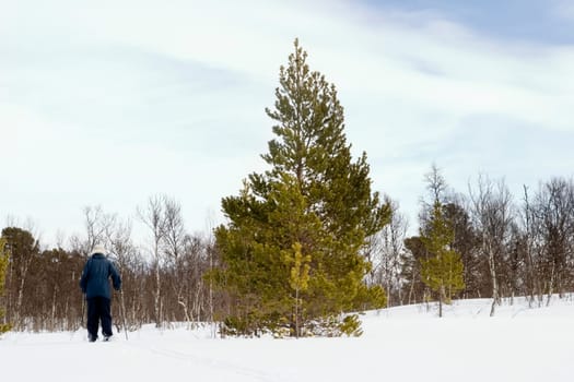 Cross Country Skiing
