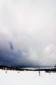 Winter Landscape