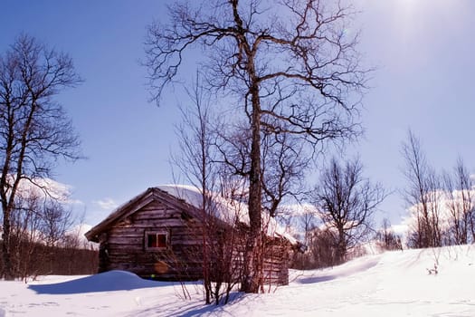 Winter Cabin