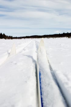 Cross Country Skiing