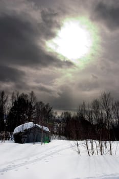Winter Night