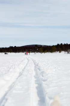 Cross Country Skiing