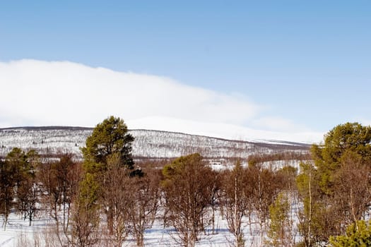 Winter Mountain Landscape