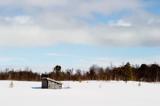 Frozen Lake Landscape