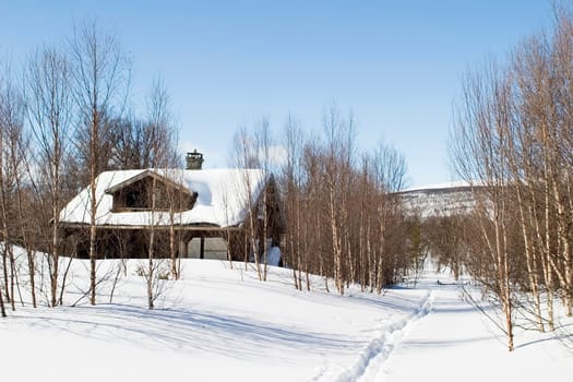 Winter Forest Cabin