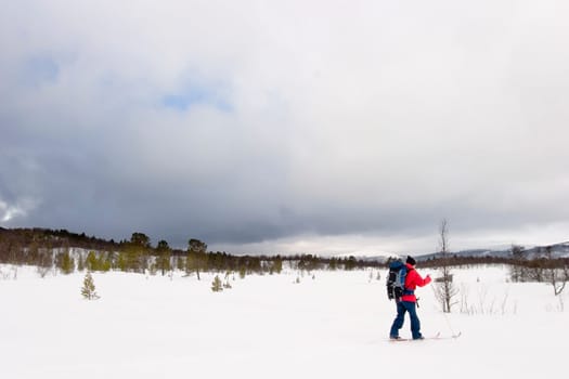 Skiing in Winter