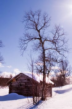 Winter Cabin