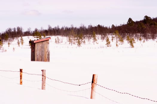 Barren Landscape