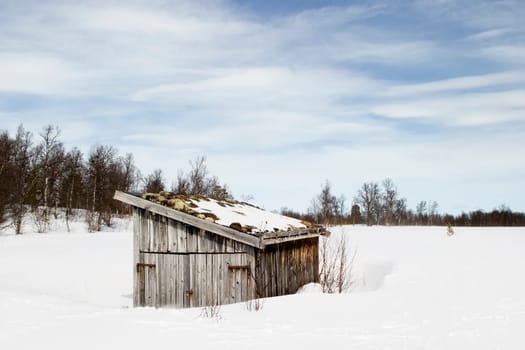Barren Landscape