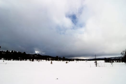 Winter Landscape
