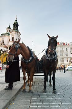 Horse Drawn Cart