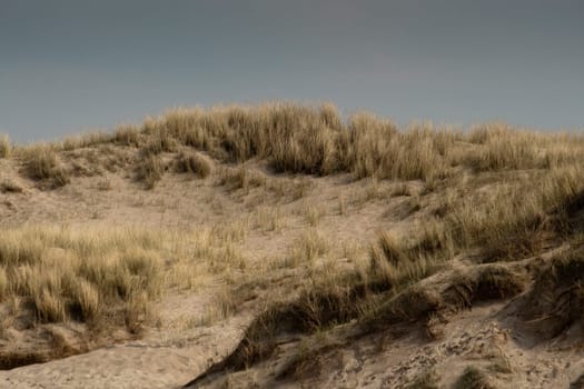 Dune
