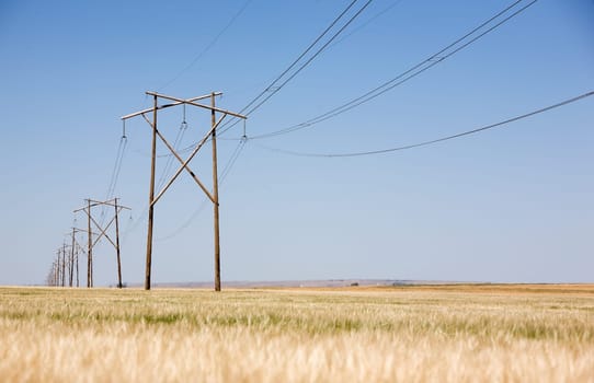 Prairie Power Line