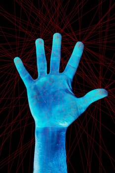 Finger Print Scan