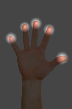 Finger Print Scan