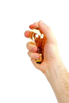 Hand with Light Bulb