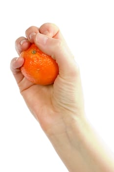 Orange in Hand