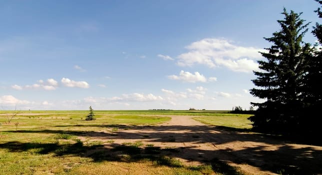 Prairie Horizon