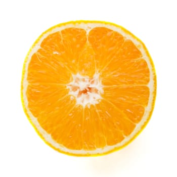 Orange Slice Detail