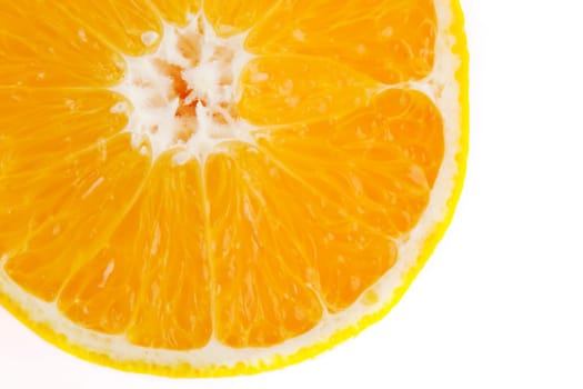 Orange Slice Detail