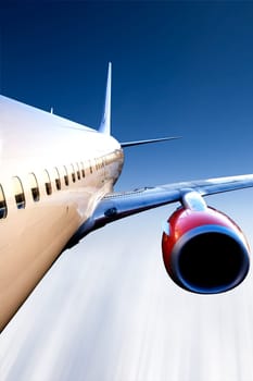 Airplane in Flight