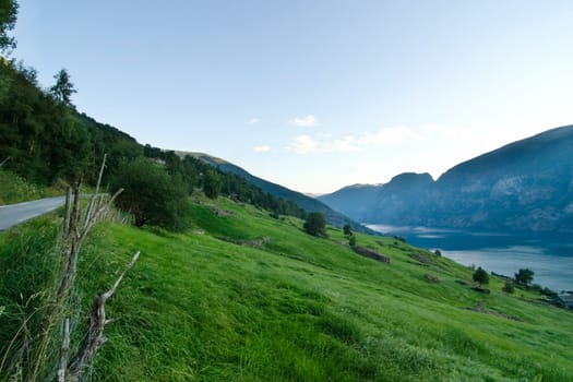 Evening Fjord View