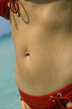 female stomach