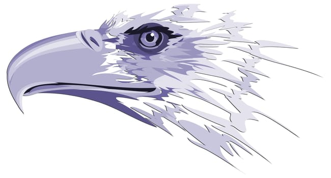 Eagle - Drawing