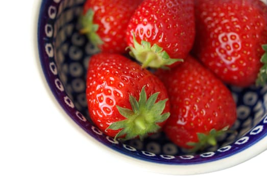 Freshly picked