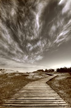 The Way