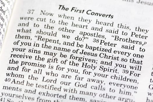 Acts 2:28