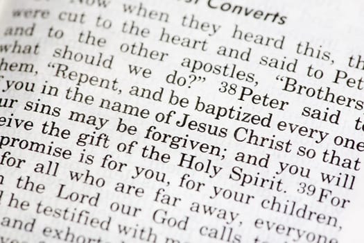 Acts 2:28