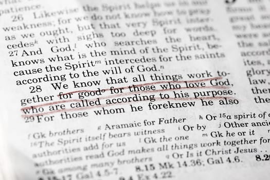 Romans 8:28