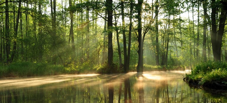 Sunrise in the Spreewald. ( cropped version )