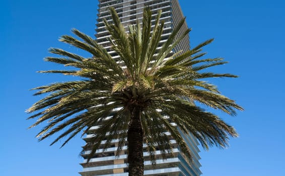 Holidays in Barcelona
