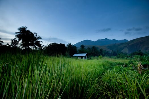 Tropical Mountain Hut