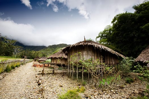 Village Hut