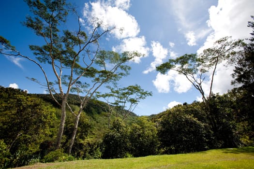 Mountain Landscape