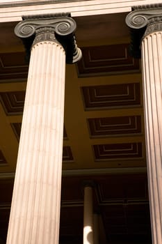 Greek Ionic Column