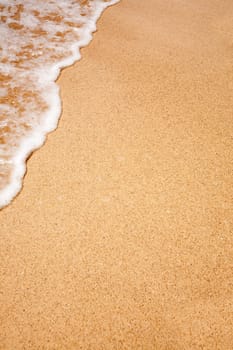 Beach Background