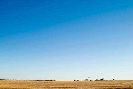 Prairie Yard