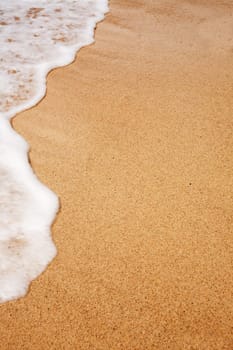 Beach Background