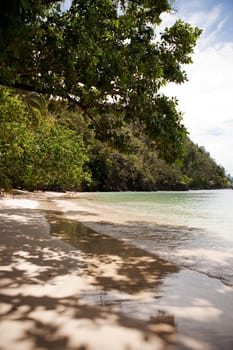 Tropical Beach