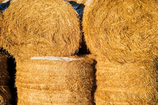 Straw Bale