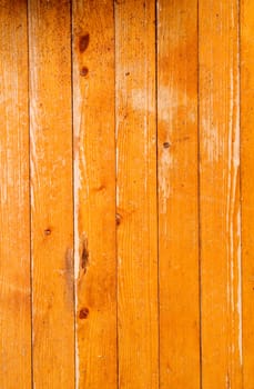 Wood Texture